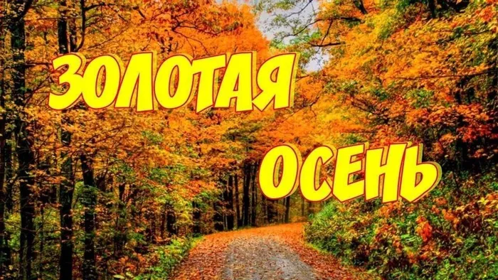 94ea10f2-aa7d-5f9e-b2ef-42a035e0c110